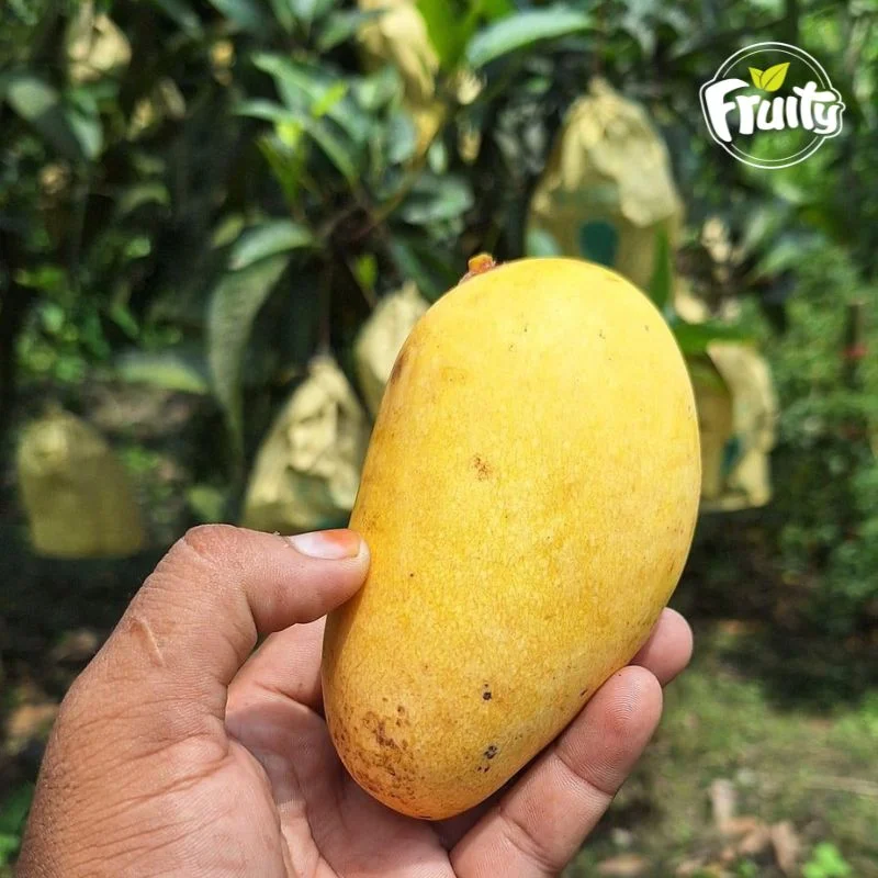 কাটিমন আম- Katimon aam